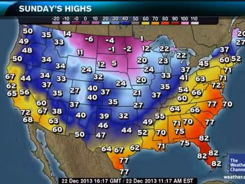 Ảnh: This Is Insider Ảnh: This Is Insider