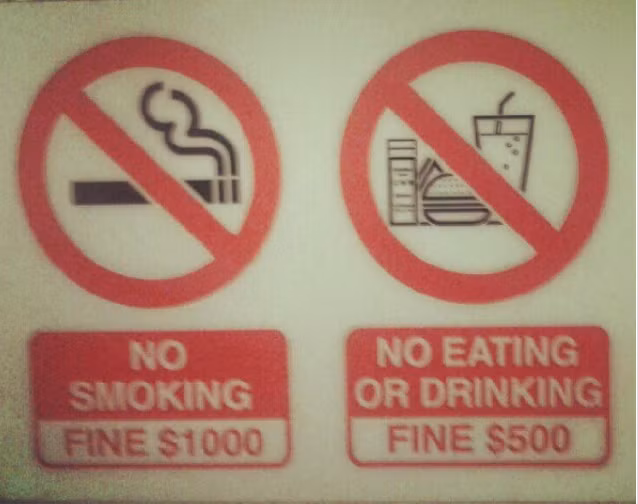 Ảnh: BrightSide Ảnh: BrightSide