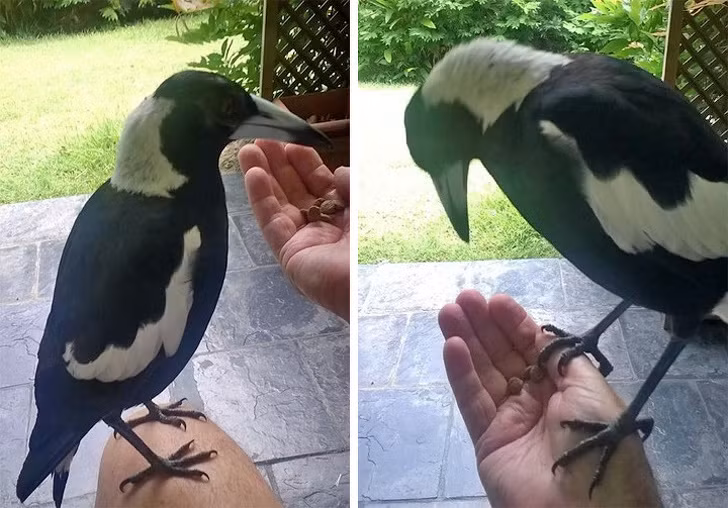 Ảnh: BrightSide Ảnh: BrightSide