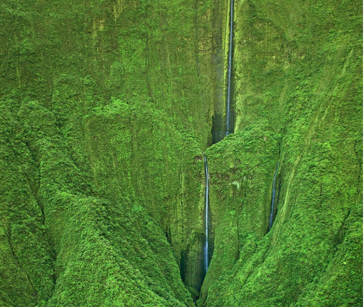 Ảnh: BrightSide Ảnh: BrightSide