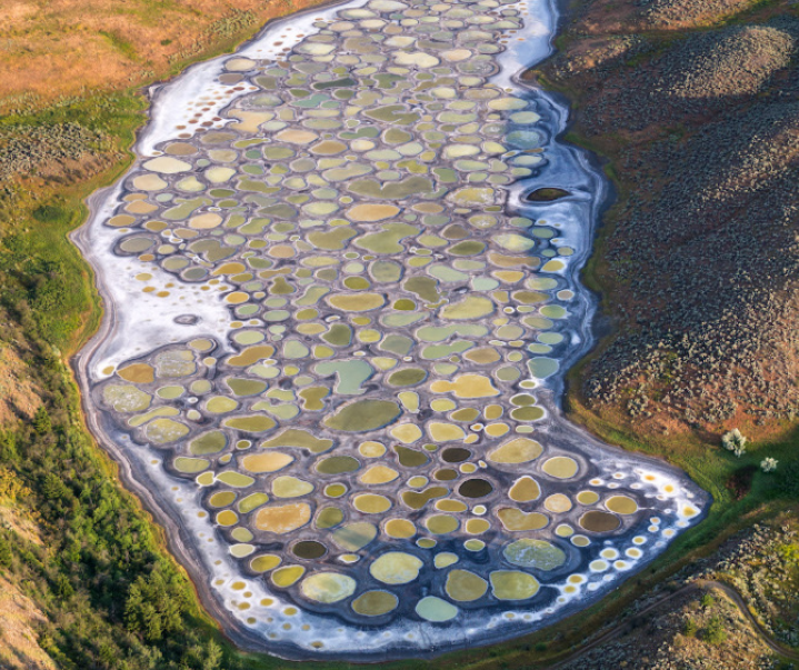 Ảnh: BrightSide Ảnh: BrightSide