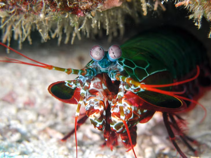 Ảnh: BrightSide Ảnh: BrightSide