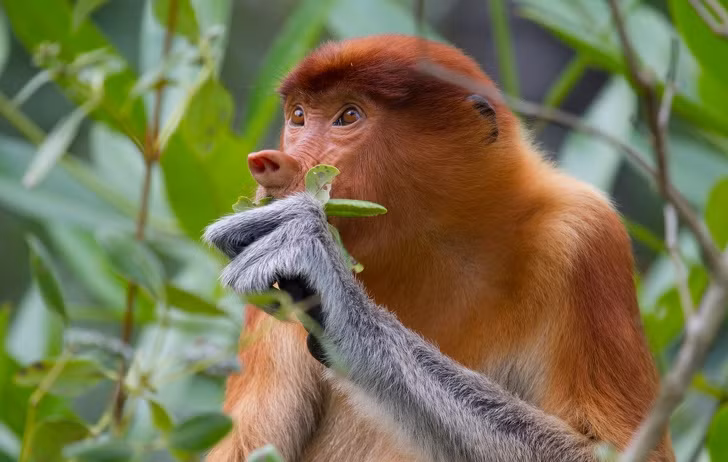 Ảnh: BrightSide Ảnh: BrightSide