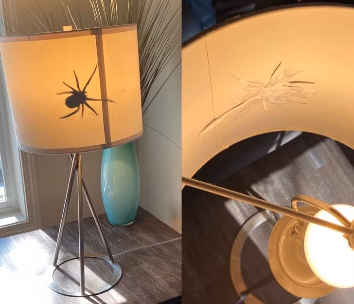 Ảnh: BrightSide Ảnh: BrightSide