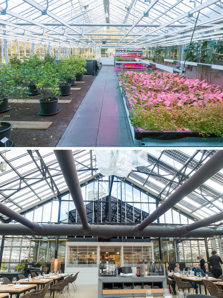 Ảnh: BrightSide Ảnh: BrightSide