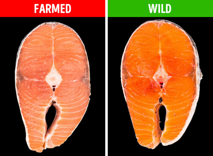 Ảnh: BrightSide Ảnh: BrightSide