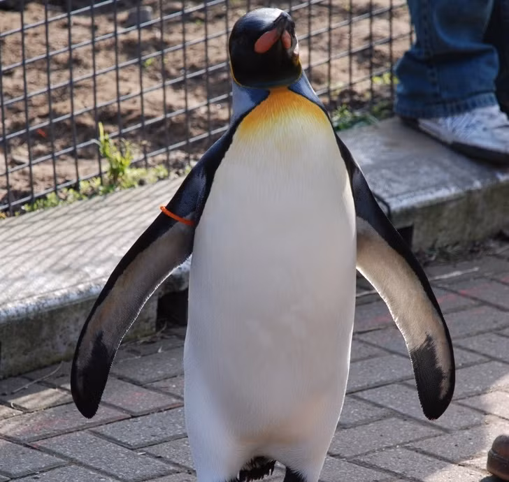 Ảnh: BrightSide Ảnh: BrightSide