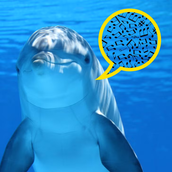 Ảnh: BrightSide Ảnh: BrightSide