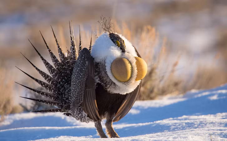 Ảnh: BrightSide Ảnh: BrightSide