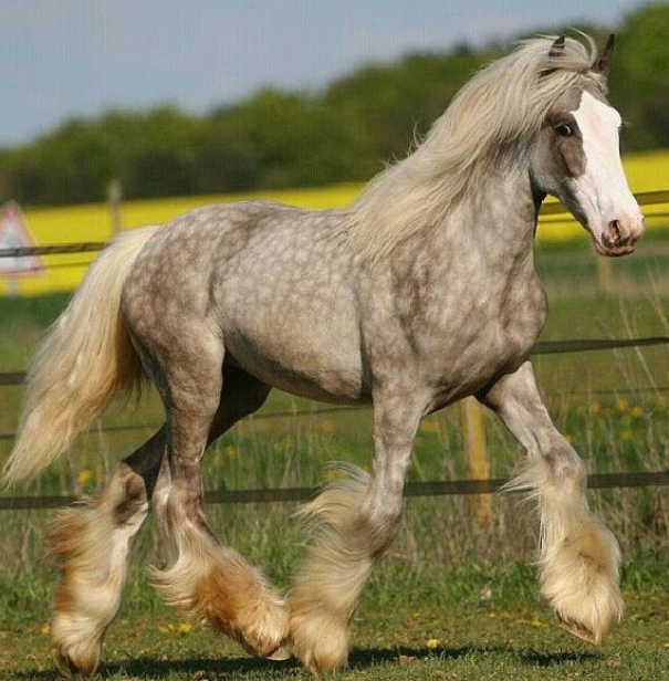 Ảnh: BrightSide Ảnh: BrightSide