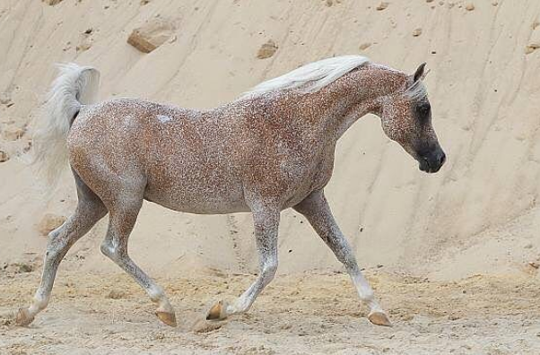 Ảnh: BrightSide Ảnh: BrightSide