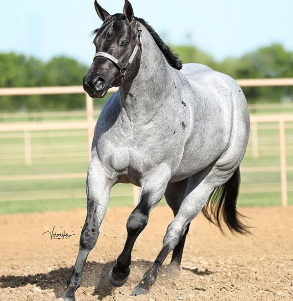 Ảnh: BrightSide Ảnh: BrightSide