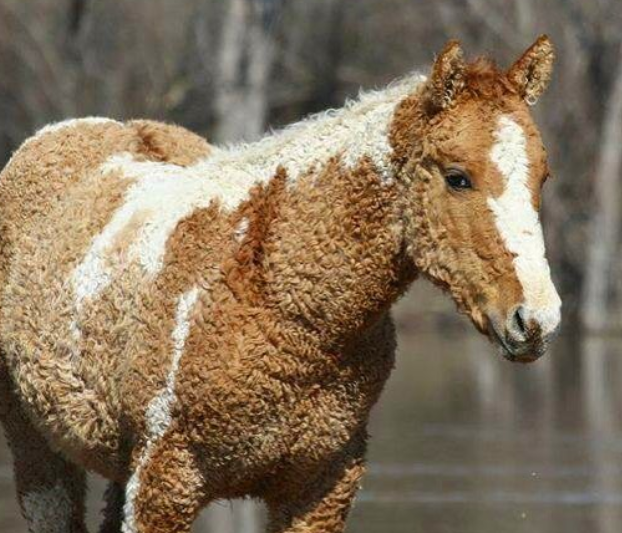 Ảnh: BrightSide Ảnh: BrightSide