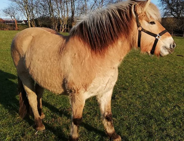 Ảnh: BrightSide Ảnh: BrightSide