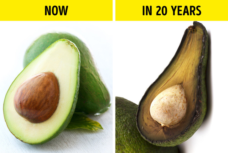 Ảnh: BrightSide Ảnh: BrightSide