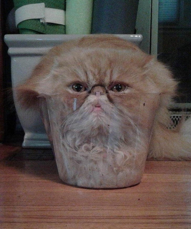 Ảnh: BrightSide Ảnh: BrightSide