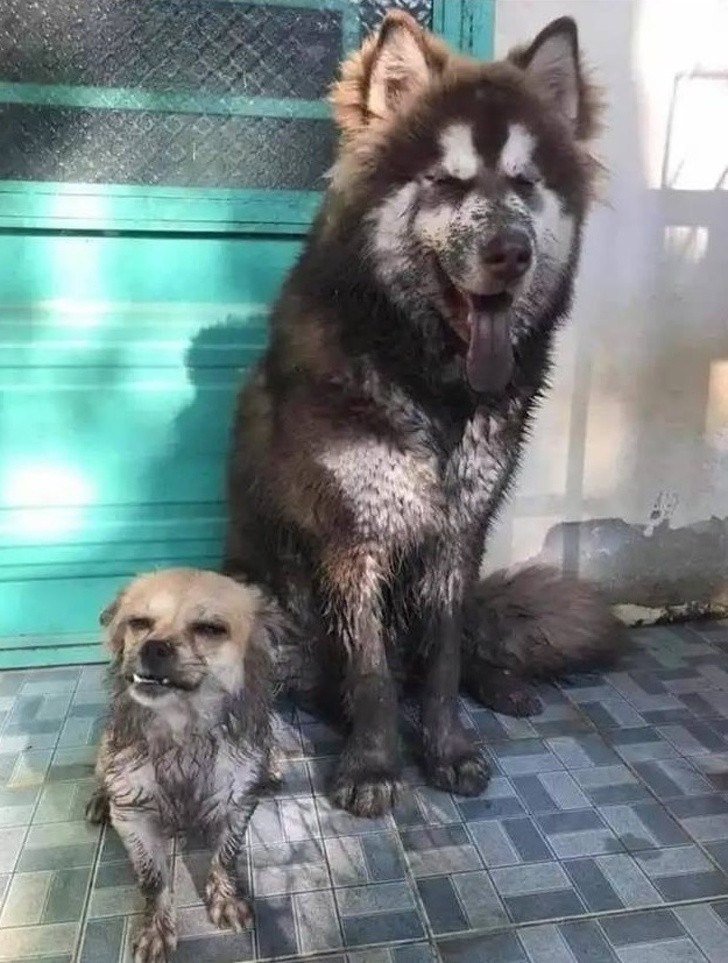 Ảnh: BrightSide Ảnh: BrightSide