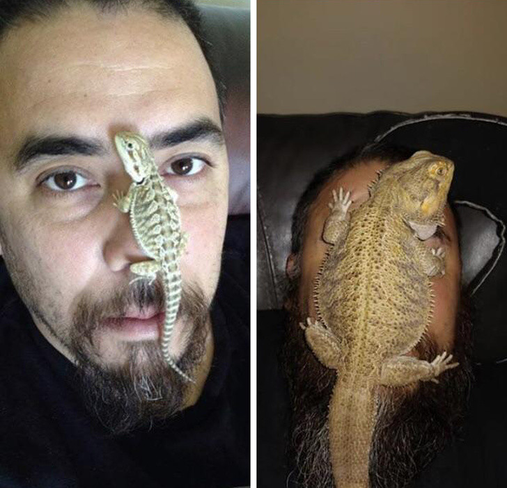 Ảnh: BrightSide Ảnh: BrightSide