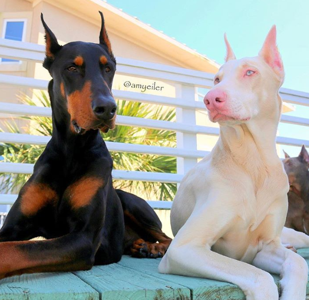 Ảnh: BrightSide Ảnh: BrightSide