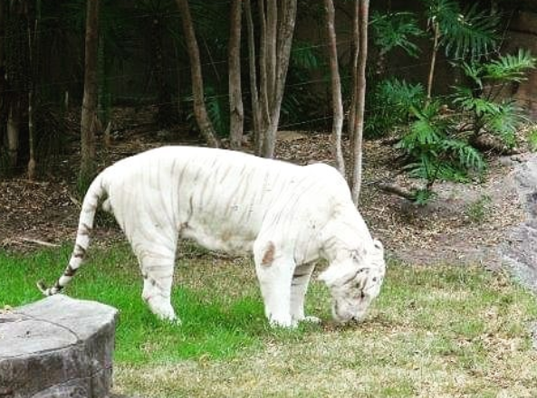 Ảnh: BrightSide Ảnh: BrightSide