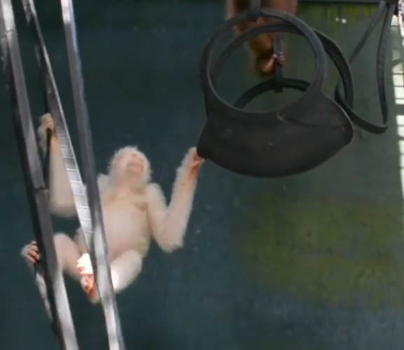 Ảnh: BrightSide Ảnh: BrightSide