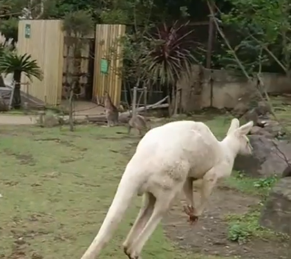 Ảnh: BrightSide Ảnh: BrightSide