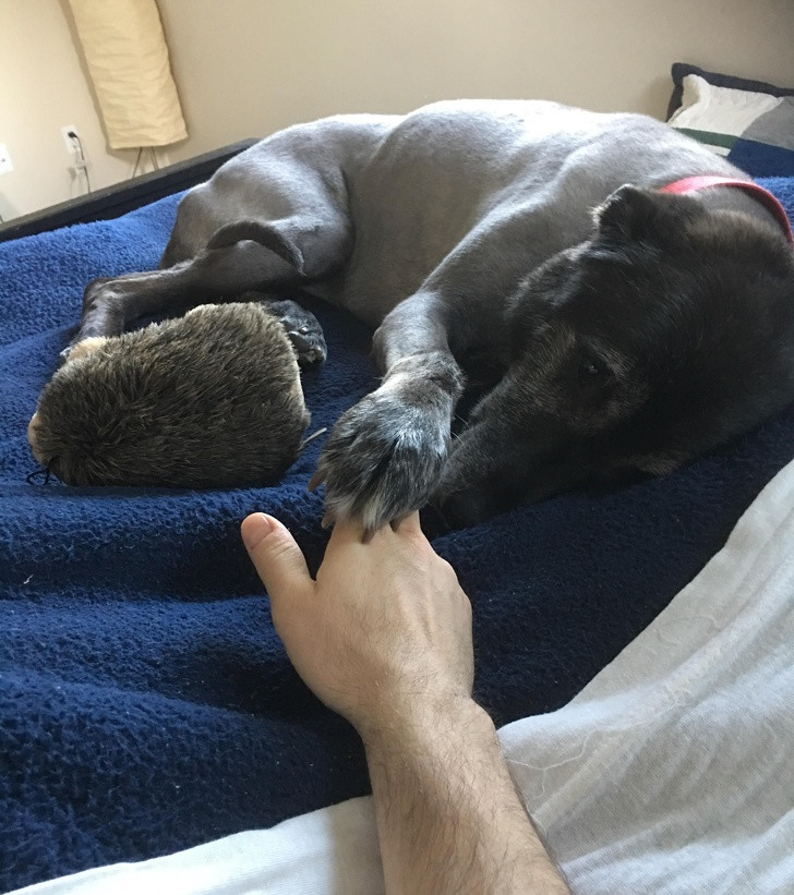 Ảnh: BrightSide Ảnh: BrightSide