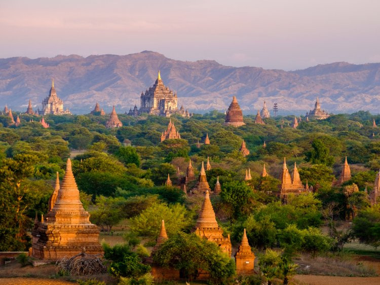 Ảnh: Business Insider