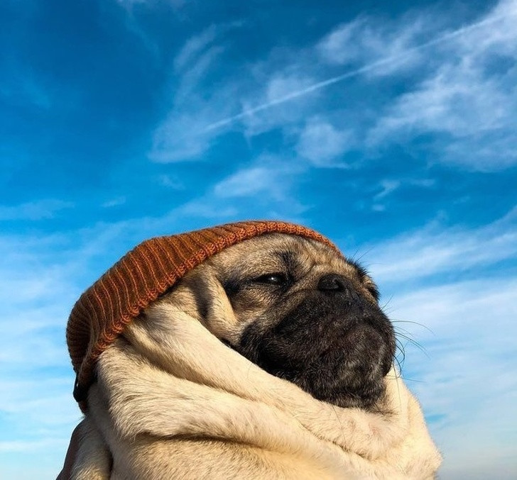 Ảnh: BrightSide Ảnh: BrightSide