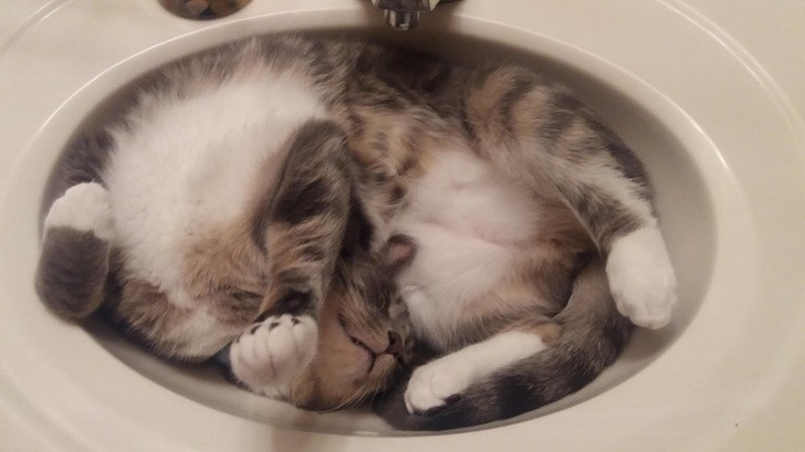 Ảnh: BrightSide Ảnh: BrightSide