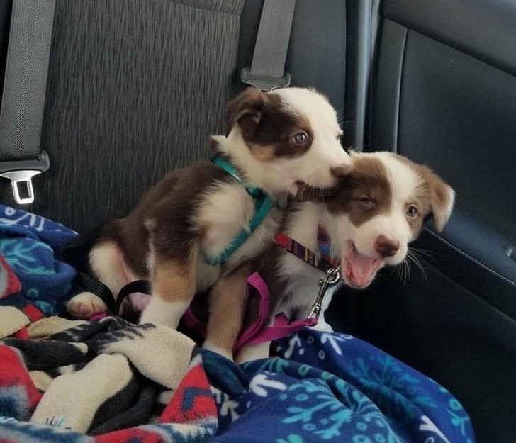 Ảnh: BrightSide Ảnh: BrightSide