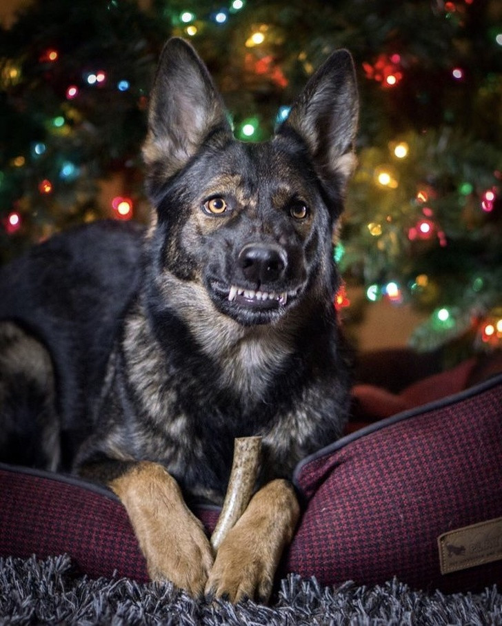 Ảnh: BrightSide Ảnh: BrightSide