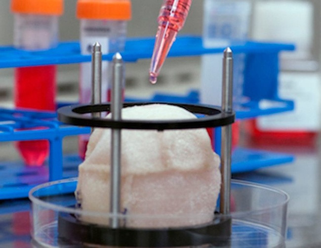 Ảnh: BrightSide Ảnh: BrightSide