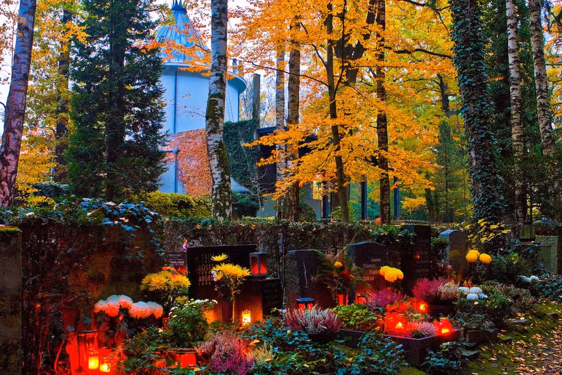 Ảnh: Business Insider Ảnh: Business Insider