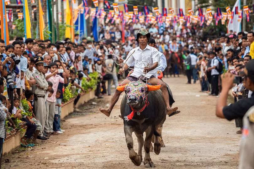 Ảnh: Business Insider Ảnh: Business Insider