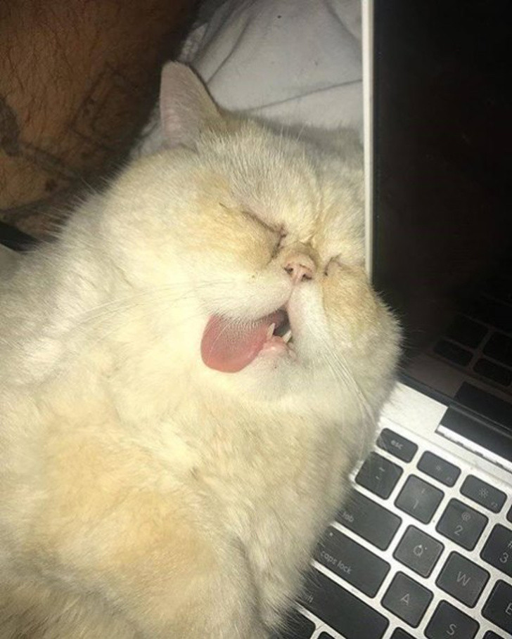 Ảnh: BrightSide Ảnh: BrightSide