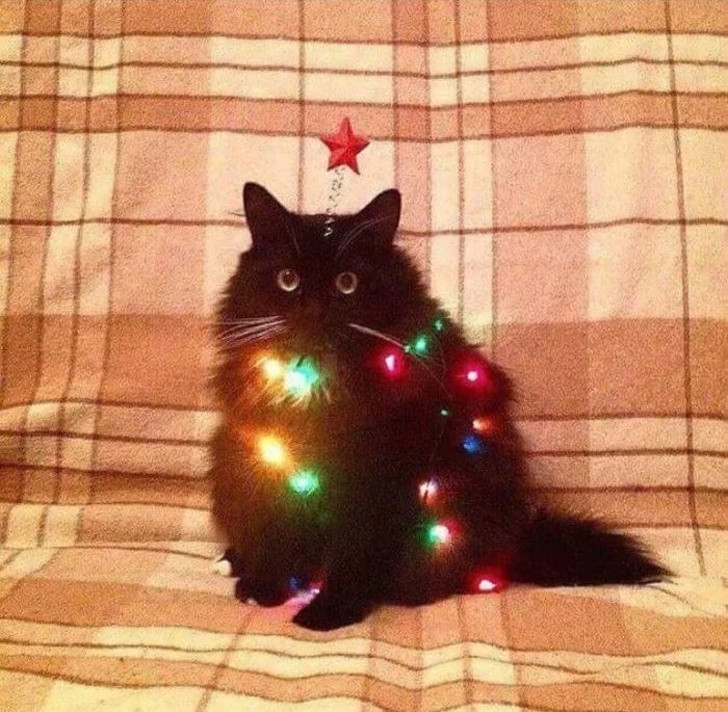 Ảnh: BrightSide Ảnh: BrightSide