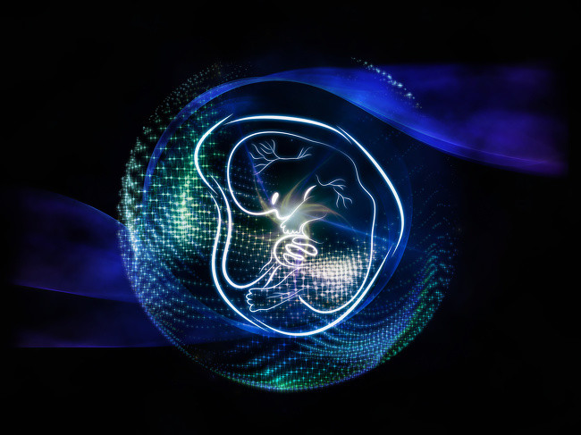 Ảnh: BrightSide Ảnh: BrightSide