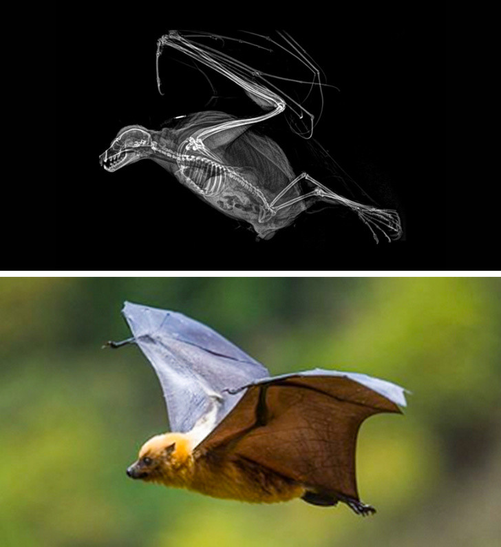 Ảnh: BrightSide Ảnh: BrightSide