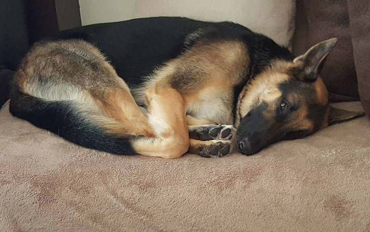 Ảnh: BrightSide Ảnh: BrightSide