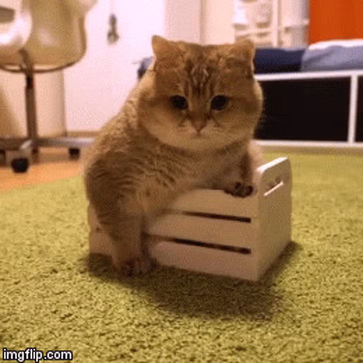 Ảnh: BrightSide Ảnh: BrightSide