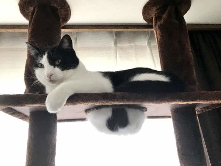 Ảnh: BrightSide Ảnh: BrightSide