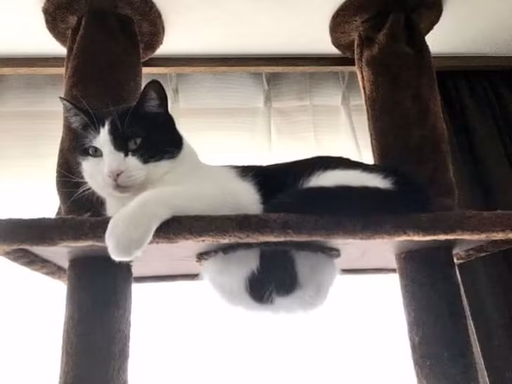 Ảnh: BrightSide Ảnh: BrightSide