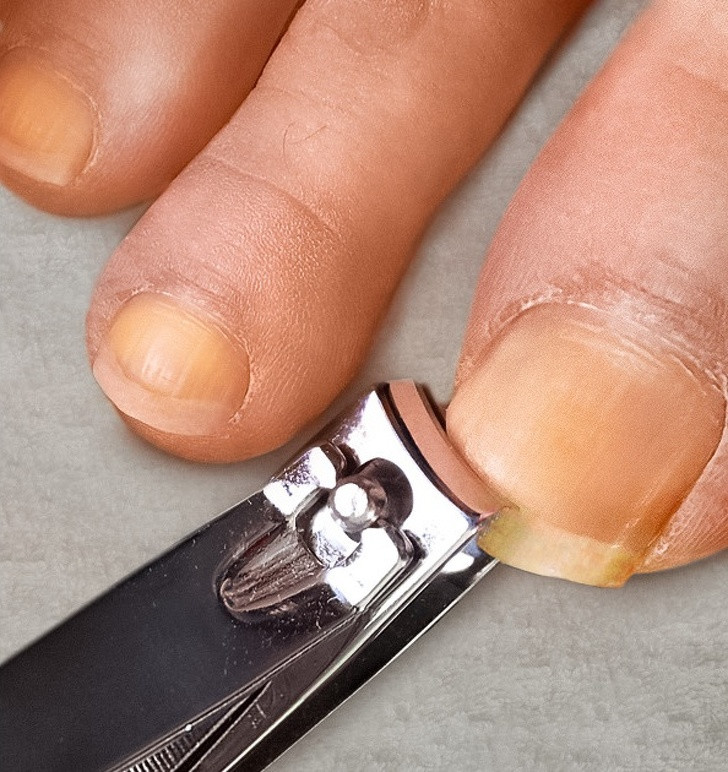 Ảnh: BrightSide. Ảnh: BrightSide.