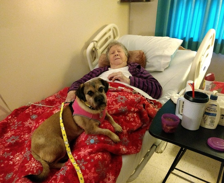 Ảnh: BrightSide Ảnh: BrightSide