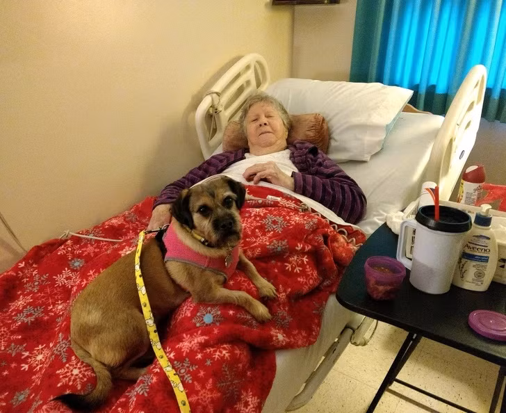 Ảnh: BrightSide Ảnh: BrightSide