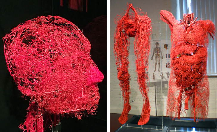 Ảnh: BrightSide Ảnh: BrightSide