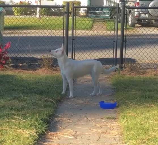 Ảnh: BrightSide Ảnh: BrightSide