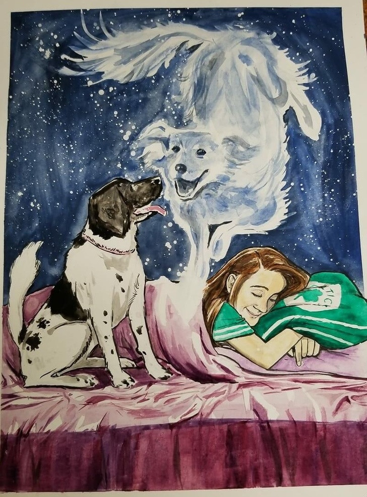 Ảnh: BrightSide Ảnh: BrightSide