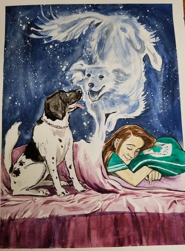 Ảnh: BrightSide Ảnh: BrightSide